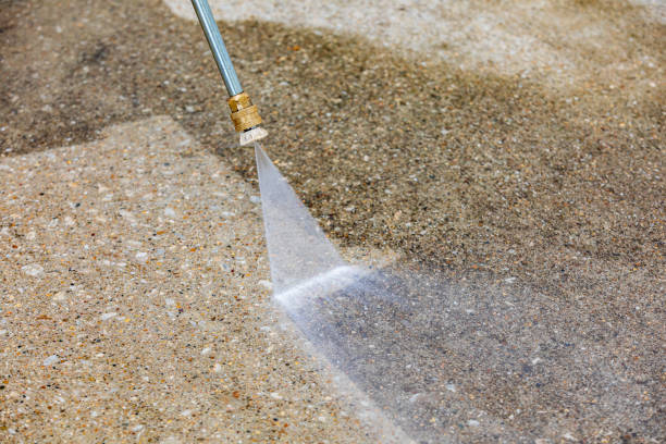 Best Animal Enclosure Cleaning  in Port Charlotte, FL